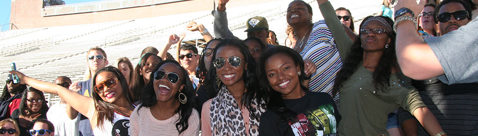 Photo of students in Doak Campbell Stadium