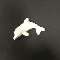 Small Dolphin