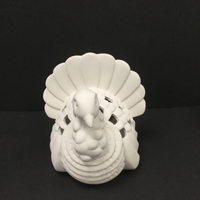 Turkey Lantern