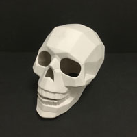 Faceted Skull
