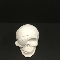 Skull Collectible