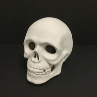 Skull with Light