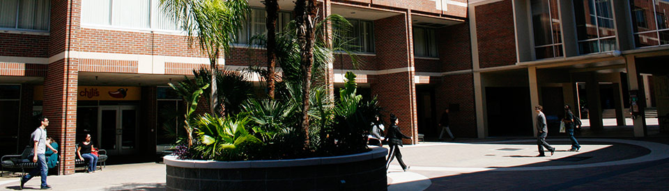 Photo of Oglesby Union Courtyard
